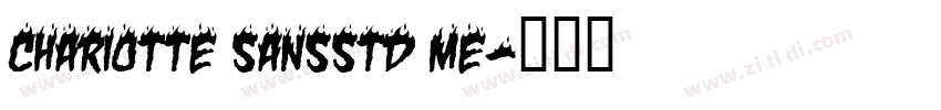 CharIotte SansStd Me字体转换